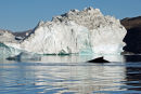 Humpback Whale Cruising Sermilik Fjord, East Greenland