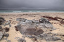 Cloudy Beach