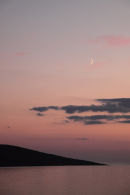 Moonshot