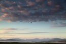 Looking north to the mountains of North Harris
