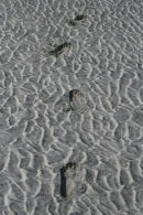 One Step Beyond