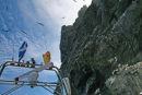 Cliffs and Gannets
