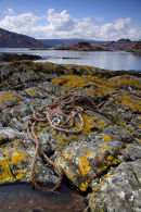 Loch Sunart, Ardnamurchan