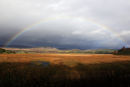 Insh Marshes