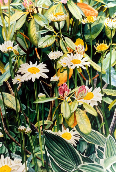 Ref.G05: Daisies.