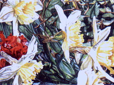 Ref.M07: Daffs.