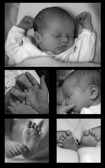 Baby Portraits in your own home.