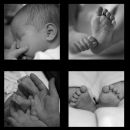Baby portraits in Bradford, Leeds, Halifax and surrounding areas.