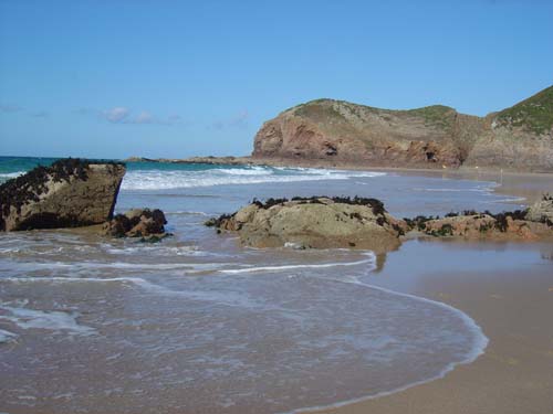  Plemont Cove