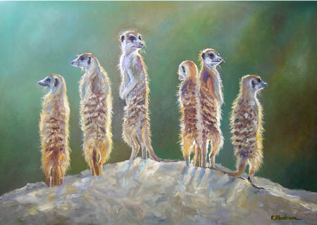 Meerkats Backlit