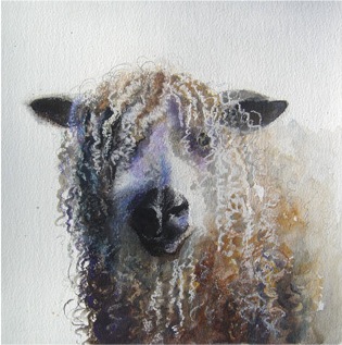 Longwool Sheep