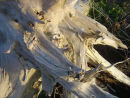 Erosion