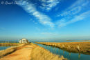 Newtown Old Quay