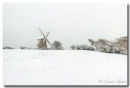 Snow at Bembridge Windmill