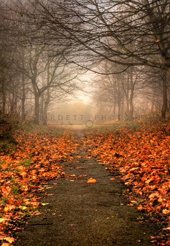 Autumn walk