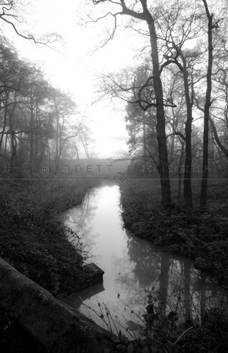 Eerie Silence