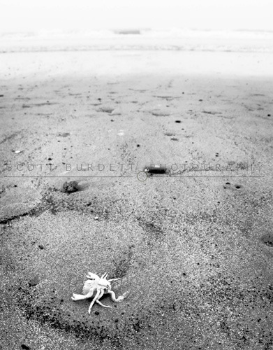 Lifes a beach