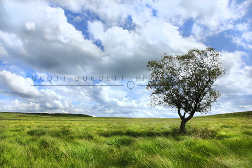 Wide open spaces
