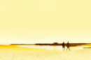 Figures on the beach
