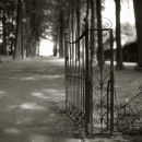Gate
