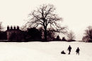 Greenwich snow