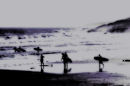 Surfers