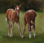 Filly Foals by Jacqueline Stanhope