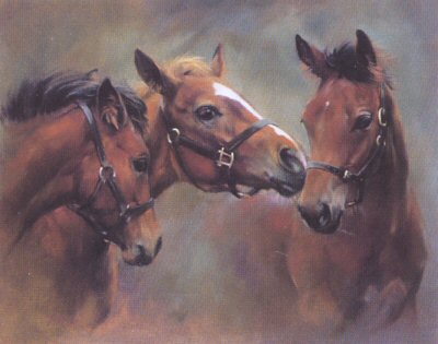 Brotherhood by Jacqueline Stanhope