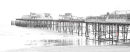 The Ghost of Hastings Pier 