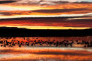 The day begins on the lake