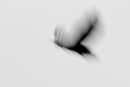 Eagle Silouette