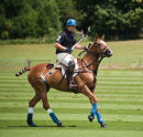 "POLO READY"