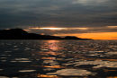 Silver Sea