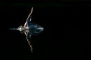 Touch Down II