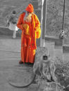 "SUNRISE SADHU"