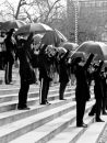 "UMBRELLAS"