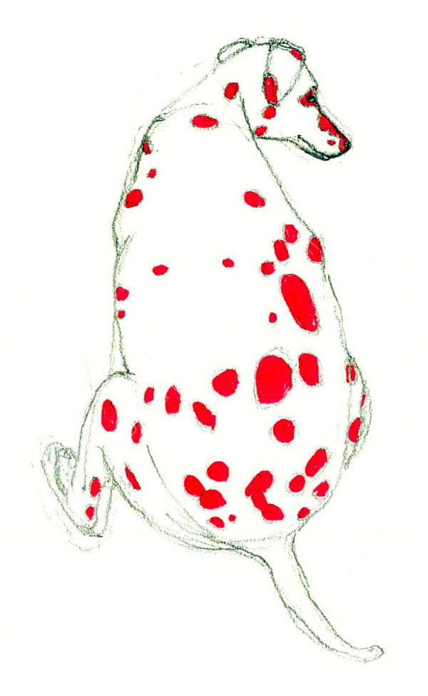 Red Spotted Dalmatian
