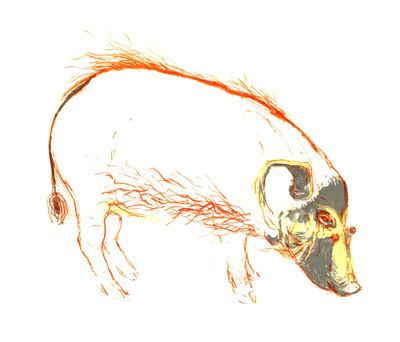 Red Hog