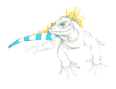 Iguana