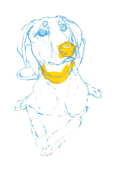 Lurcher