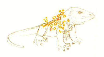 Monitor Lizard