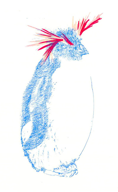 Penguin
