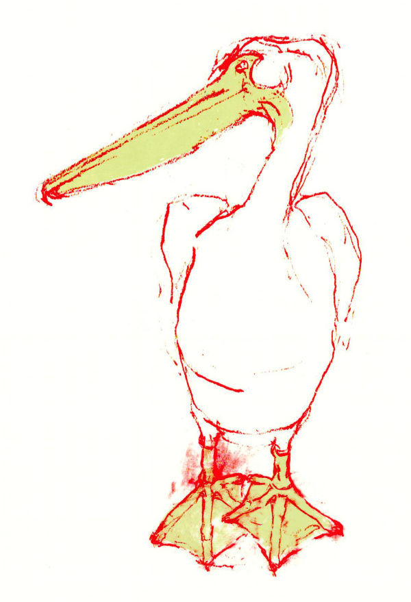 Pelican Port