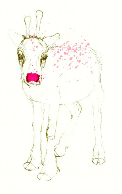 Reindeer