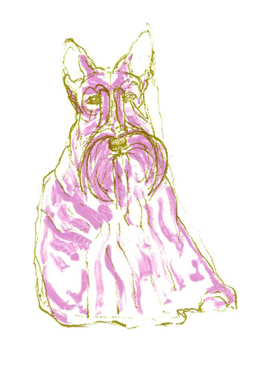 Scotty Dog