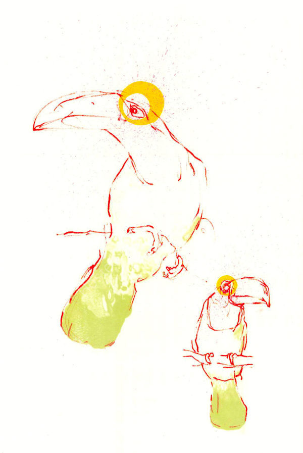 Two Toucans
