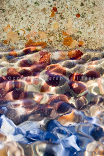 Rippling Mussels