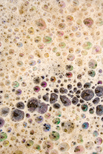 Sea Jewels