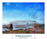 BRIDGE ACROSS FOREVERBELHAVEN BAY