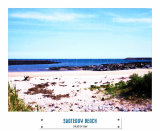 SKATERAW BEACHEAST LOTHIAN
